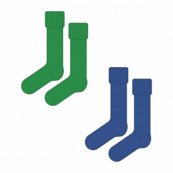 Joseph Swan Academy Socks
